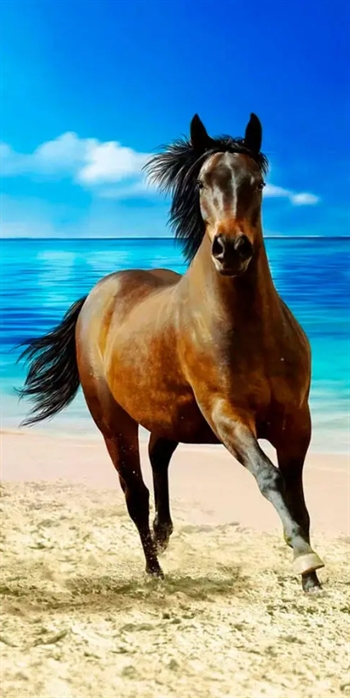 Badhandduk - Häst - 70x140 cm - Härligt mjuk kvalitet