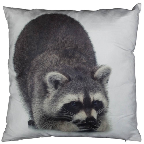 Soffkudde Tvättebjörn