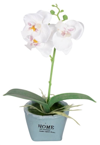 Konstgjord vit orkidé - I fin gömma - Höjd 26 cm