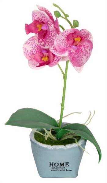 Konstgjord vit och rosa orkidé - I fin gömma - Höjd 26 cm