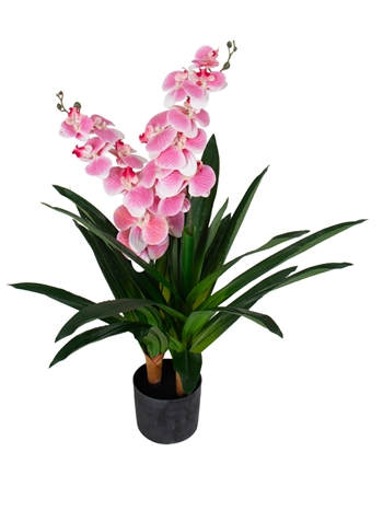 Konstgjord orkidé - 90 cm - 2-grenad - Rosa blommor - Konstgjord blomma i svart kruka
