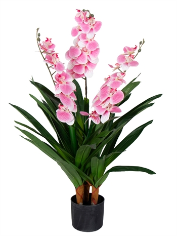 Konstgjord orkidé - 100 cm - 2-grenad - Rosa blommor - Konstgjord blomma i svart kruka