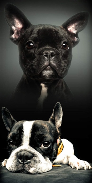 Badhandduk  - Miffy  - 70x140cm - Härligt mjuk kvalitet