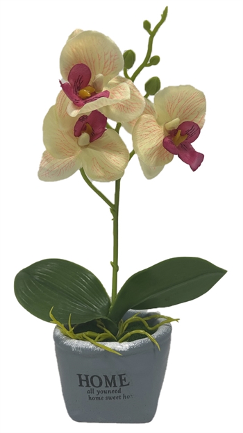 Konstgjord gul orkidé - I fin gömma - Höjd 26 cm